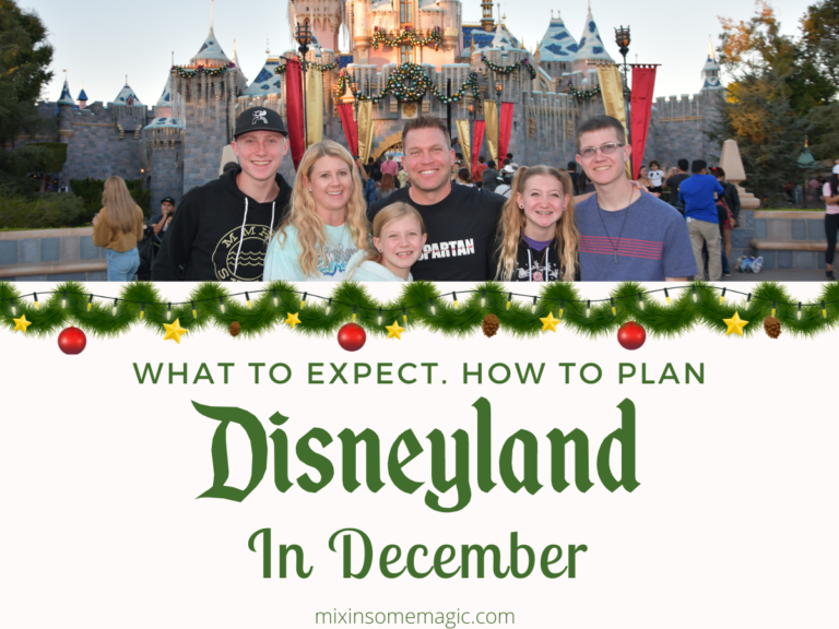 Visiting Disneyland in January Everything You Need To Know For 2024