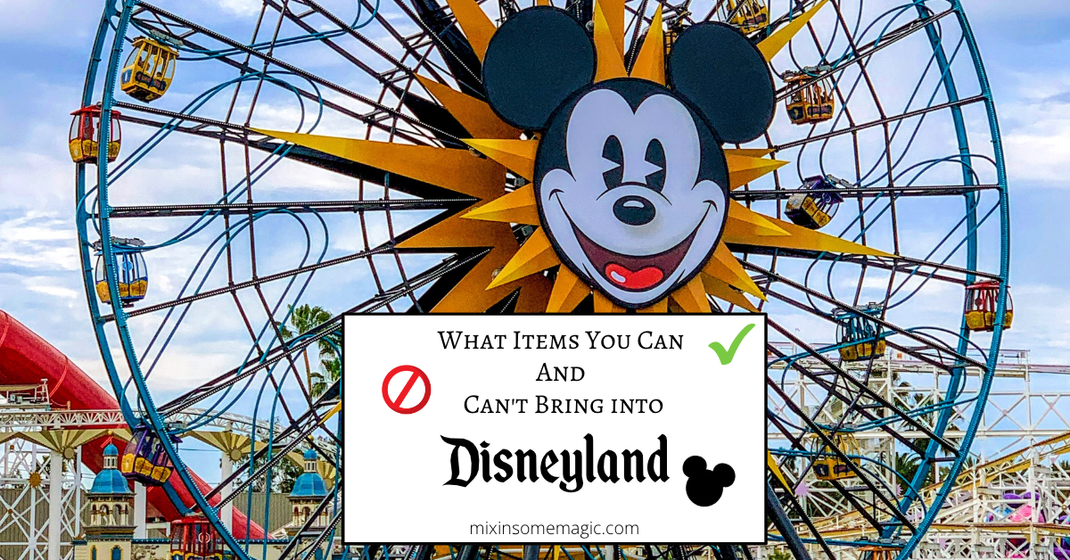 What you can and cannot bring into Disneyland
