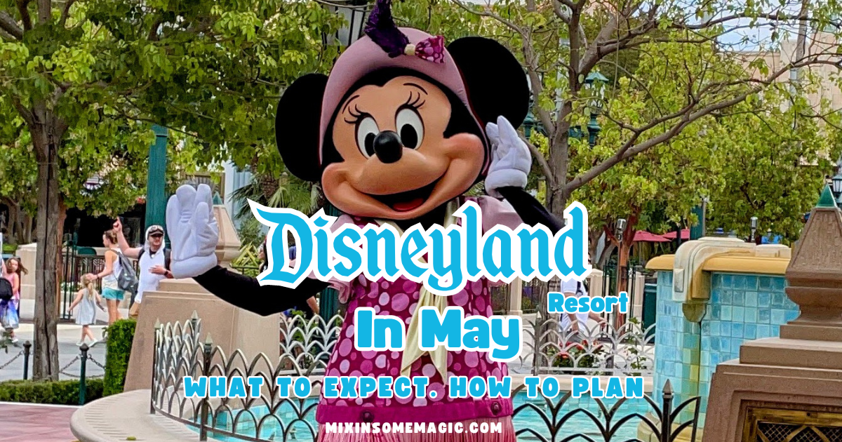 Is Disneyland Busy On Thanksgiving Day? * Mix In Some